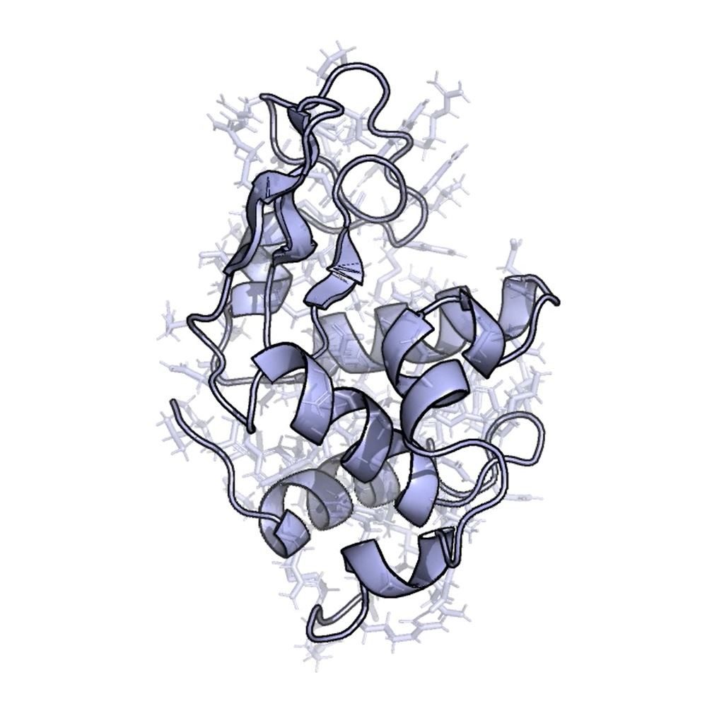 Protein Dynamics Department Of Biochemistry Virginia Tech